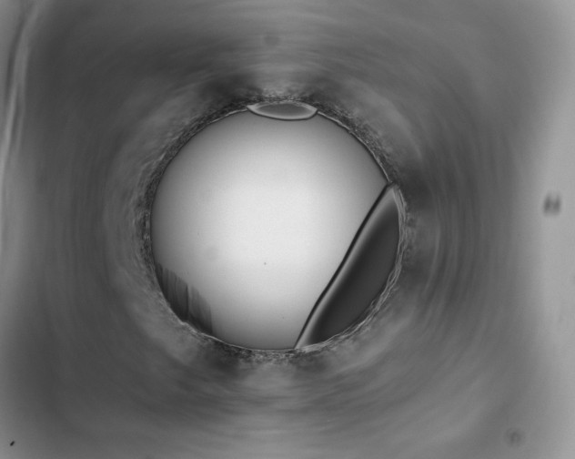 X0000102871249200808181458
