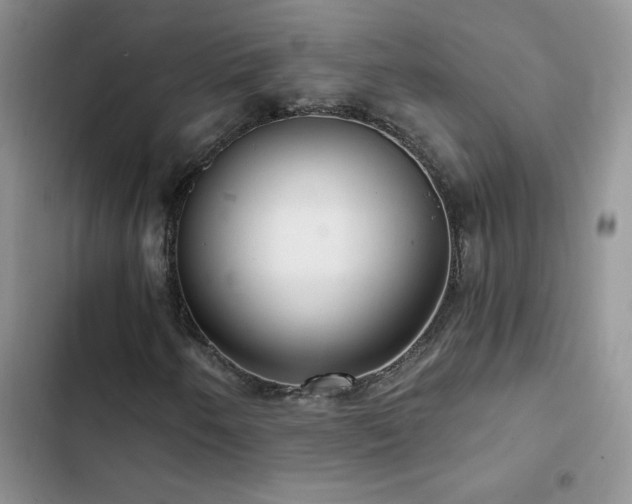 X0000102871250200808181458