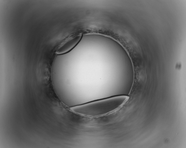 X0000102871253200808181458