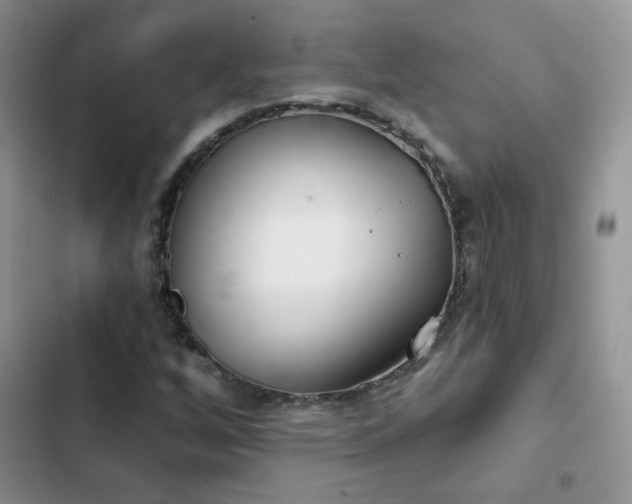 X0000102871256200808181458