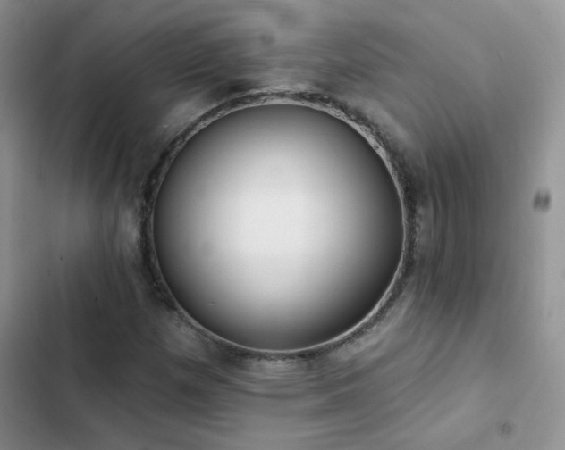 X0000102871257200808181458