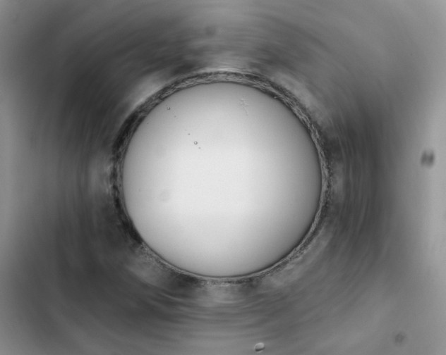 X0000102871258200808181458