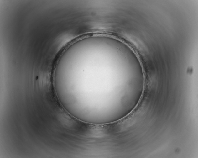 X0000102871259200808181458