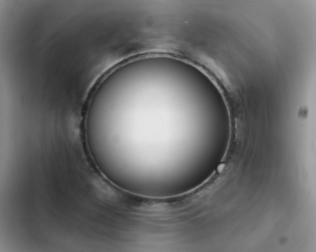 X0000102871260200808181458