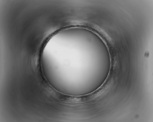 X0000102871261200808181458