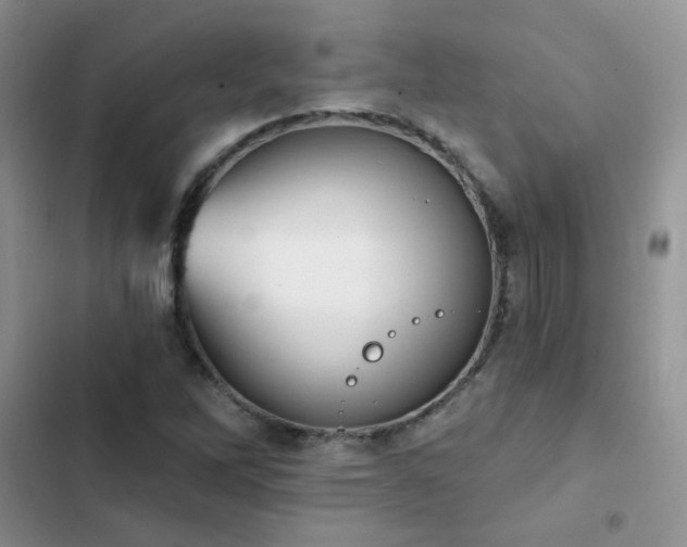 X0000102871262200808181458