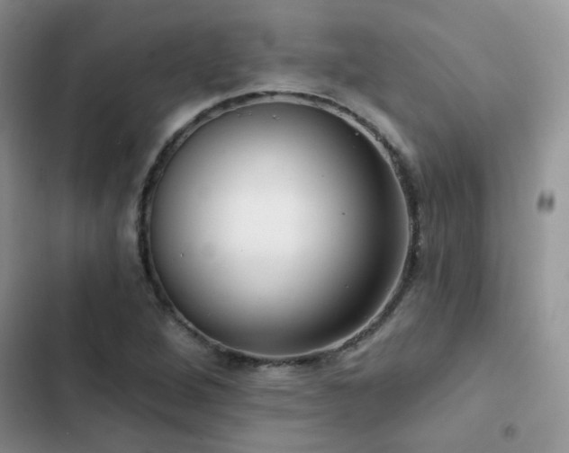 X0000102871264200808181458