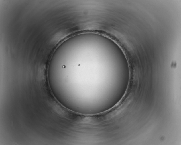 X0000102871265200808181457