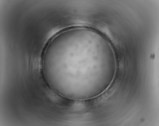X0000102871267200808181457