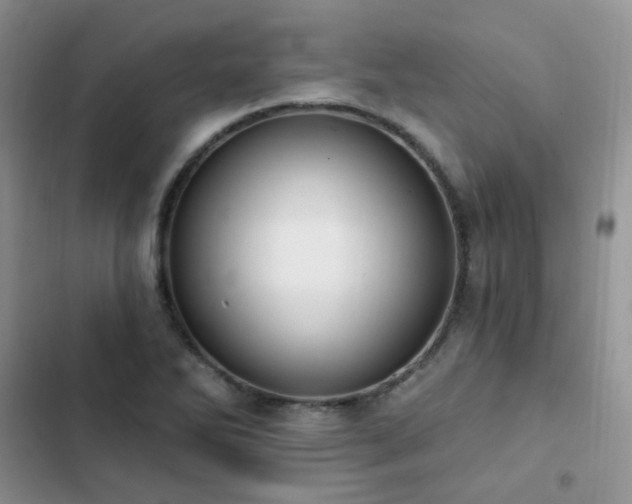 X0000102871270200808181457