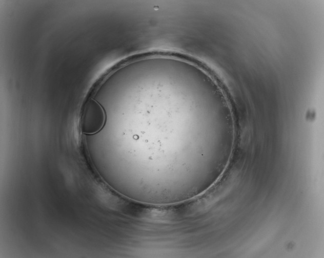 X0000102871271200808181457