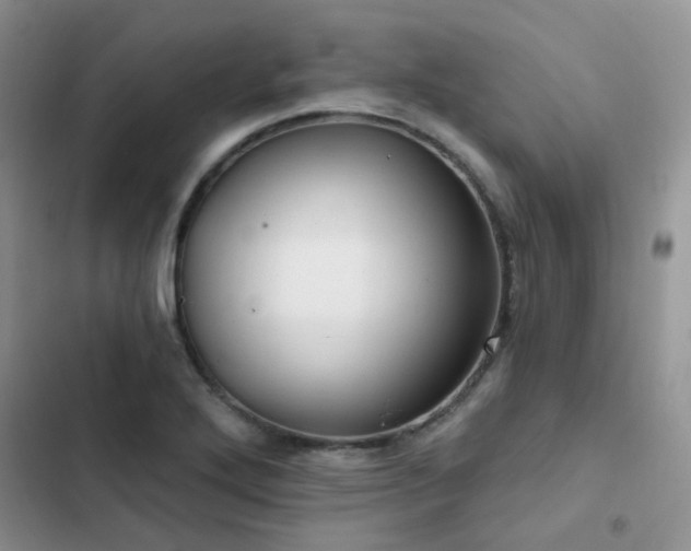 X0000102871272200808181457