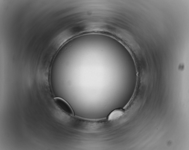 X0000102871273200808181457