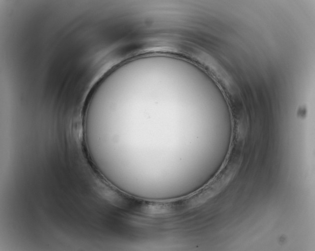 X0000102871274200808181457