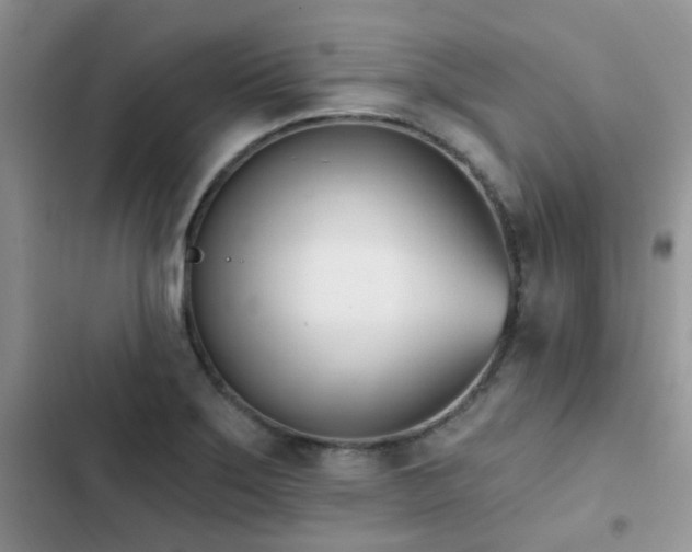 X0000102871275200808181457