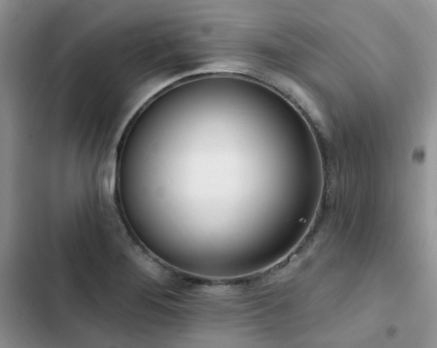 X0000102871276200808181457
