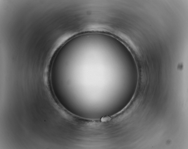 X0000102871277200808181457