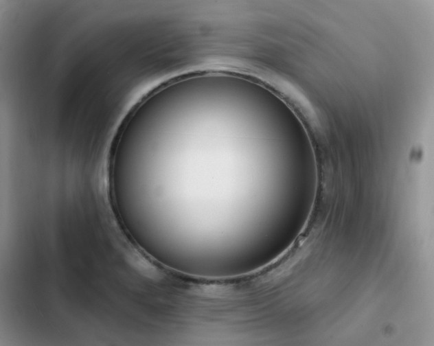 X0000102871280200808181457