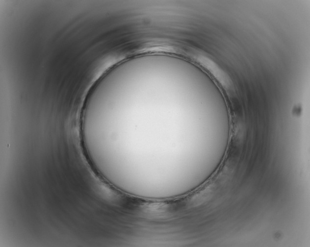 X0000102871282200808181457