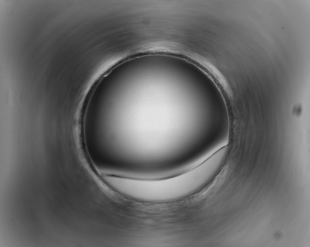 X0000102871285200808181457