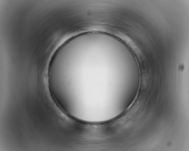 X0000102871286200808181457