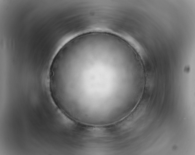 X0000102871287200808181457