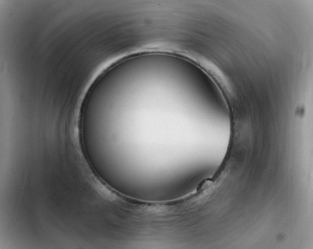 X0000102871288200808181457
