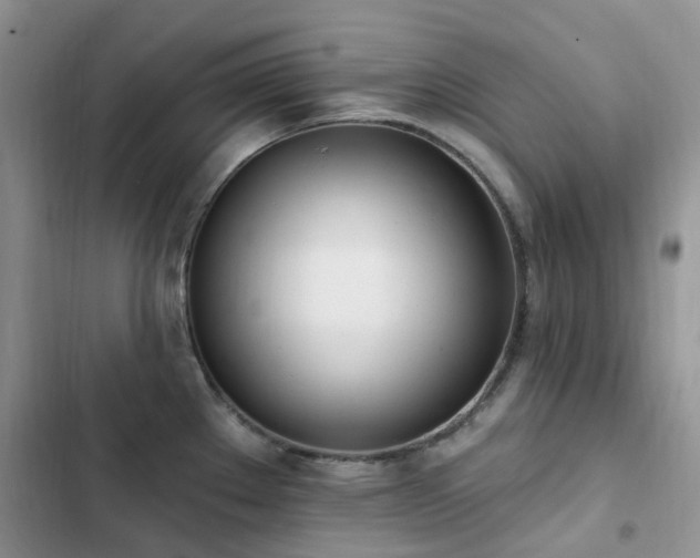 X0000102871289200808181457