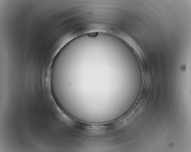 X0000102871290200808181457
