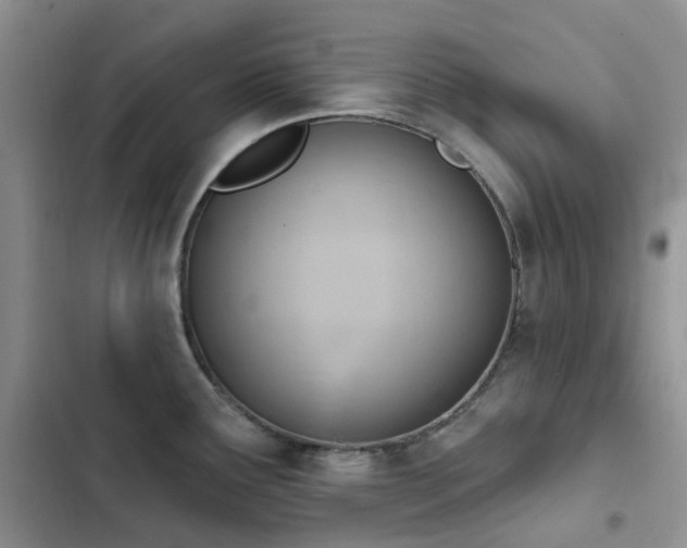 X0000102871291200808181457