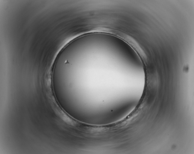 X0000102871292200808181457