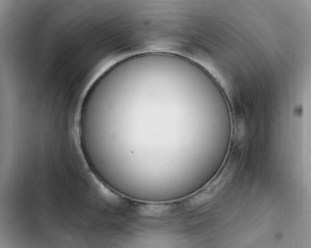 X0000102871294200808181457