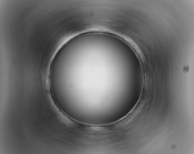 X0000102871295200808181457