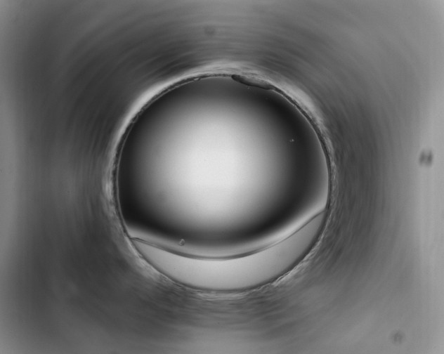 X0000102871296200808181457