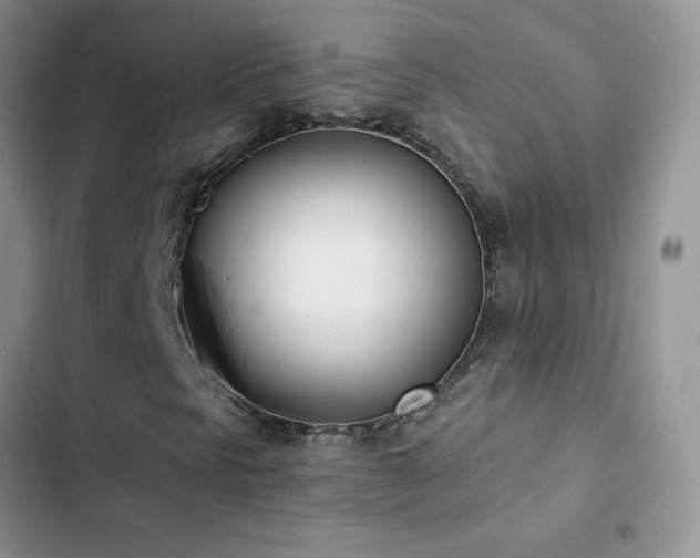 X0000102871297200808181456
