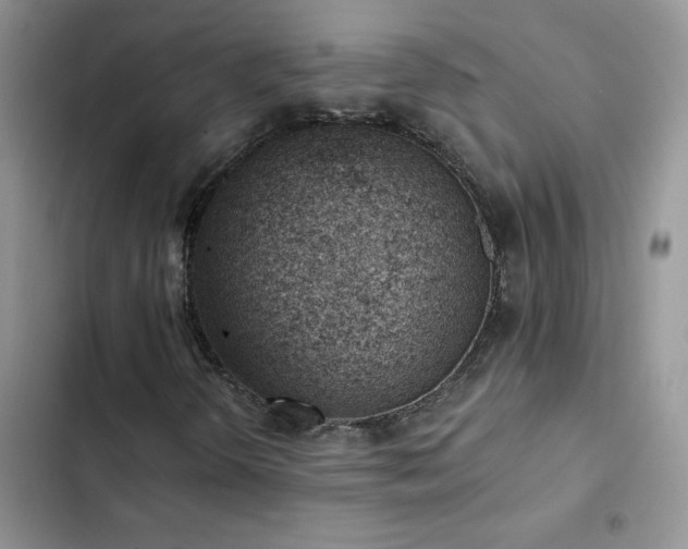 X0000102871298200808181456