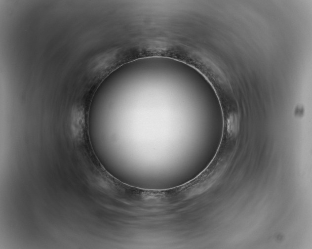 X0000102871299200808181456
