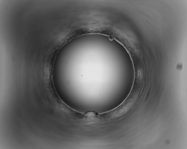 X0000102871300200808181456