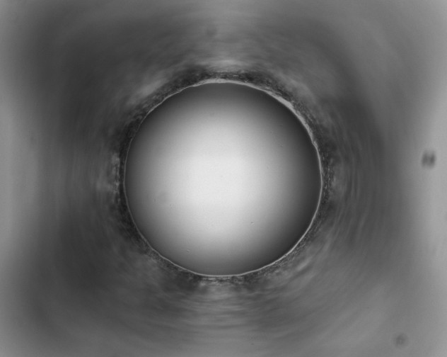 X0000102871301200808181456