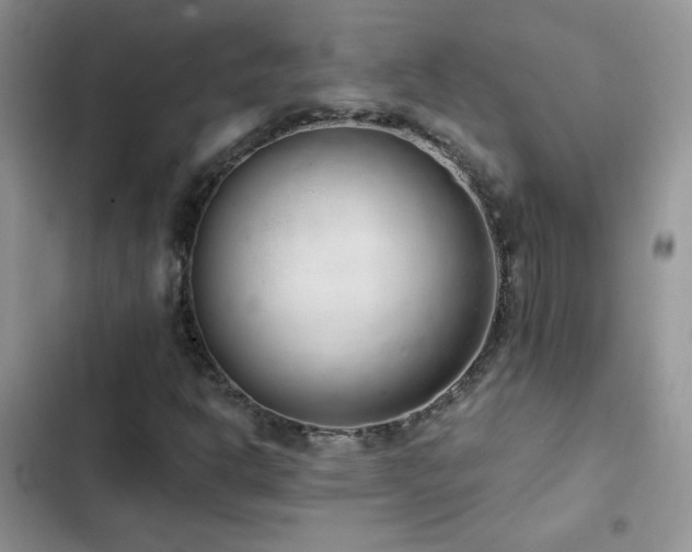 X0000102871302200808181456