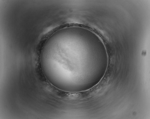 X0000102871303200808181456