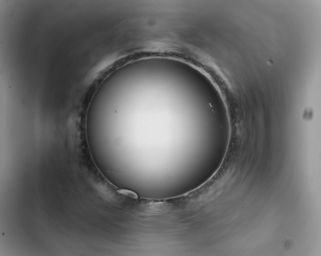 X0000102871304200808181456