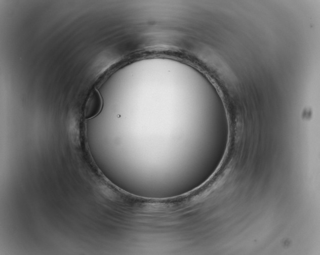X0000102871305200808181456