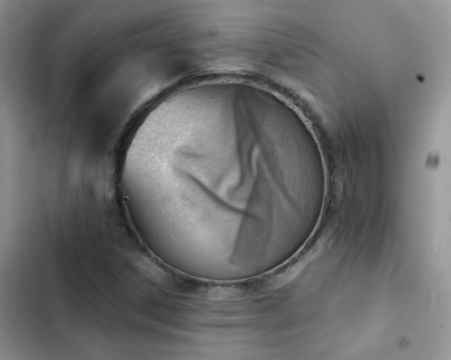 X0000102871306200808181456