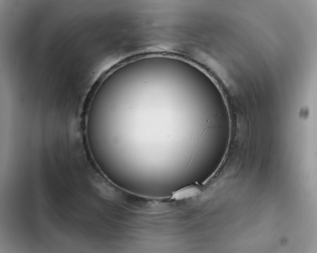 X0000102871308200808181456