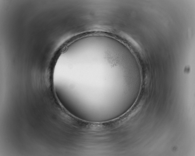 X0000102871310200808181456