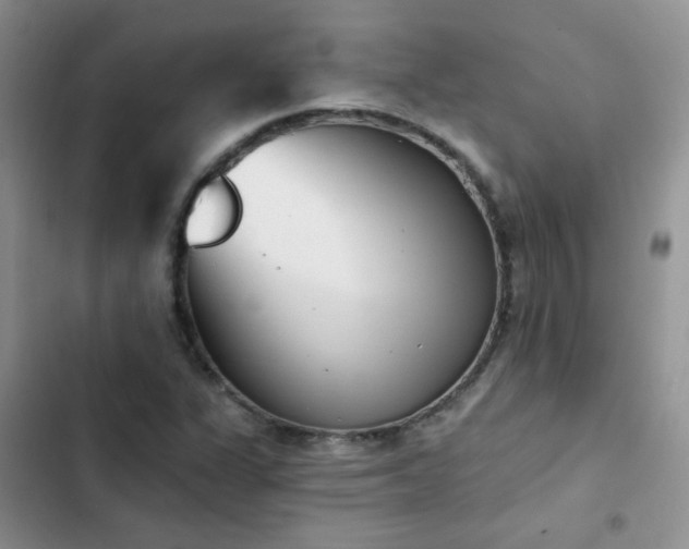 X0000102871311200808181456