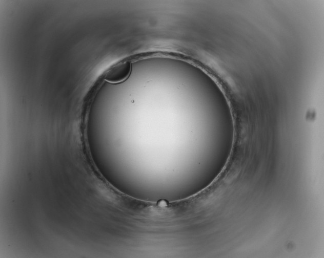 X0000102871312200808181456