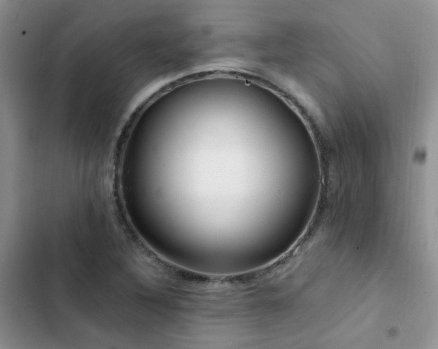 X0000102871316200808181456