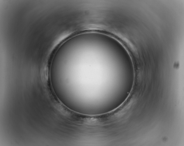 X0000102871317200808181457